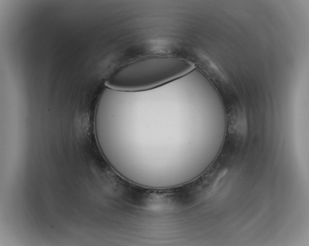 X0000112840560200909041525