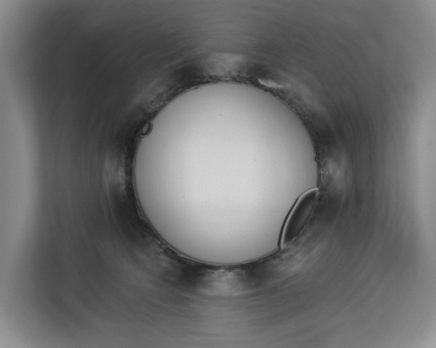 X0000112840566200909041525