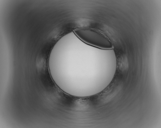 X0000112840568200909041525