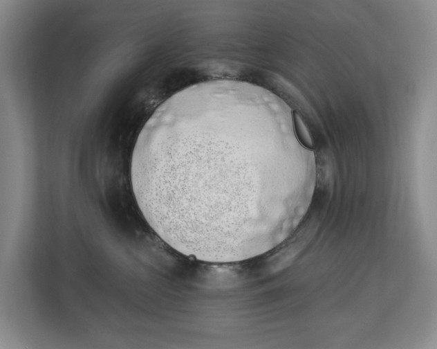 X0000112840573200909041525