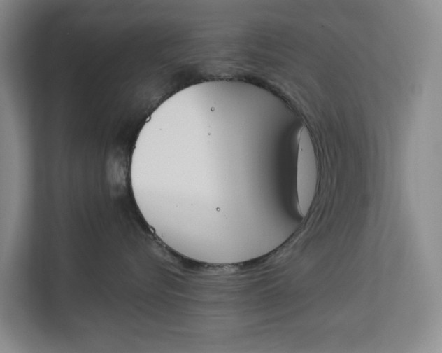 X0000112840576200909041525