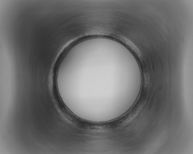 X0000112840580200909041524