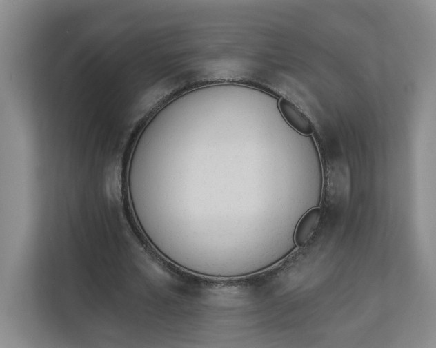 X0000112840581200909041524