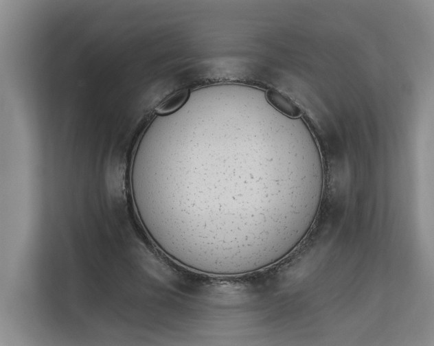 X0000112840585200909041524