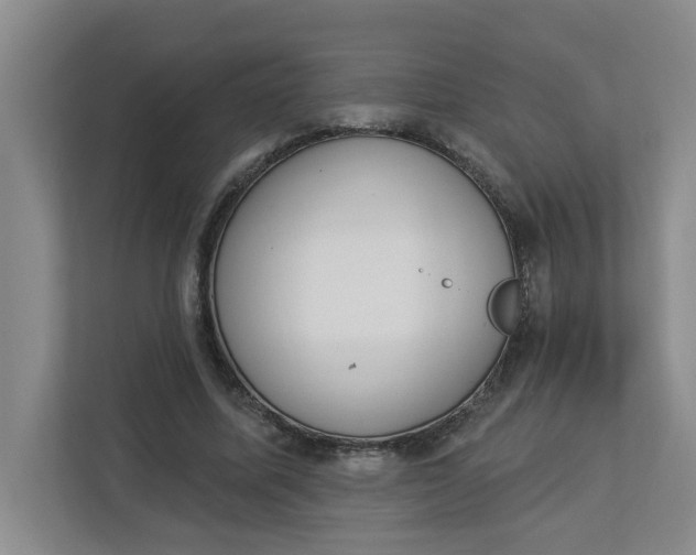 X0000112840587200909041524