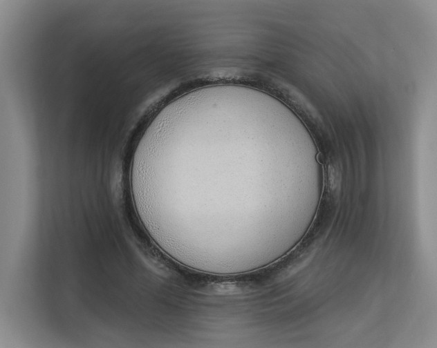 X0000112840588200909041524