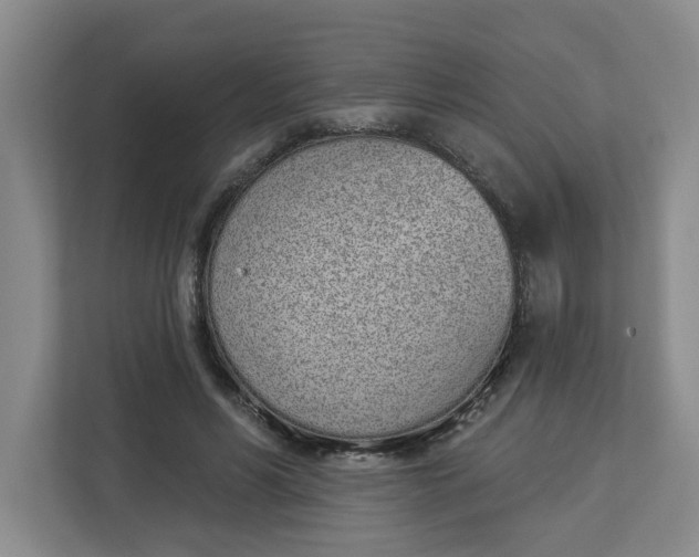 X0000112840590200909041524