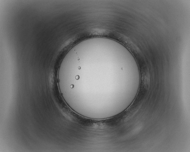 X0000112840591200909041524