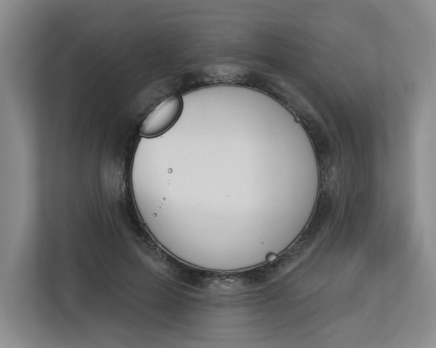 X0000112840599200909041524