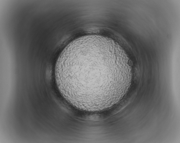 X0000112840600200909041524