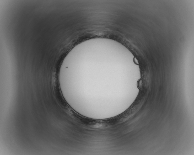 X0000112840612200909041524