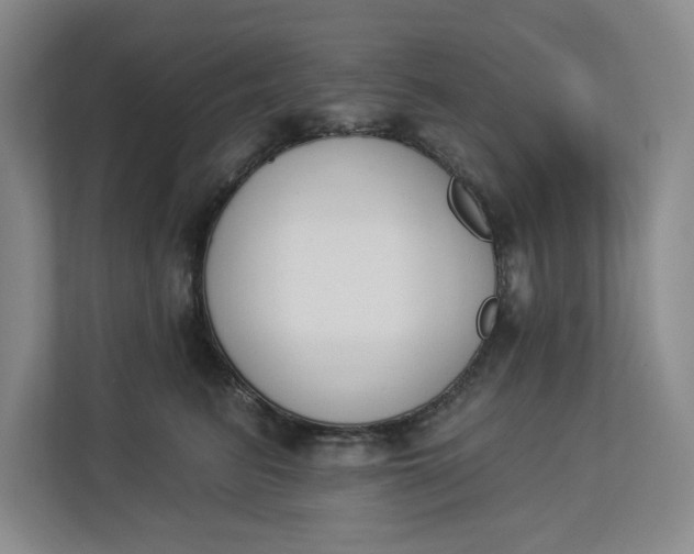 X0000112840615200909041524