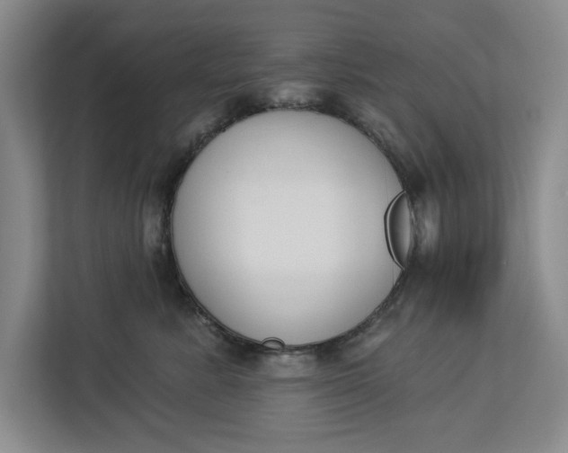 X0000112840619200909041524