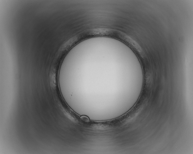 X0000112840633200909041523