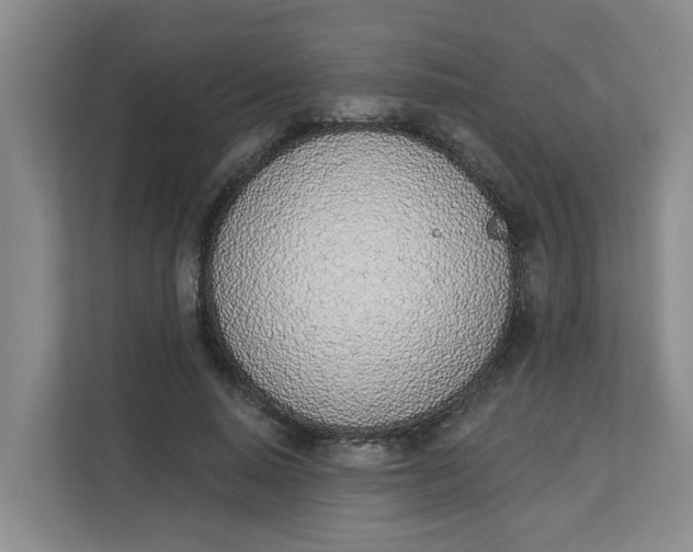 X0000112840640200909041523