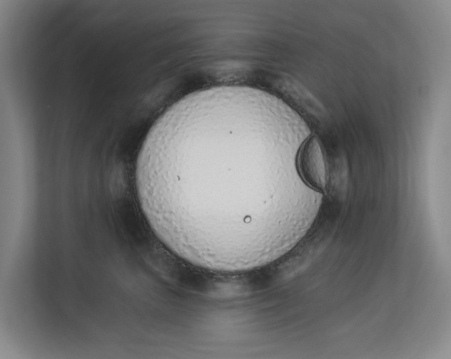 X0000112840667200909041524