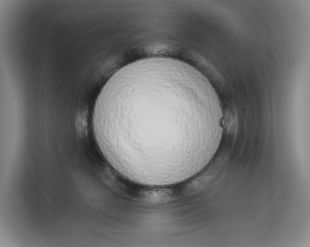 X0000112840670200909041524