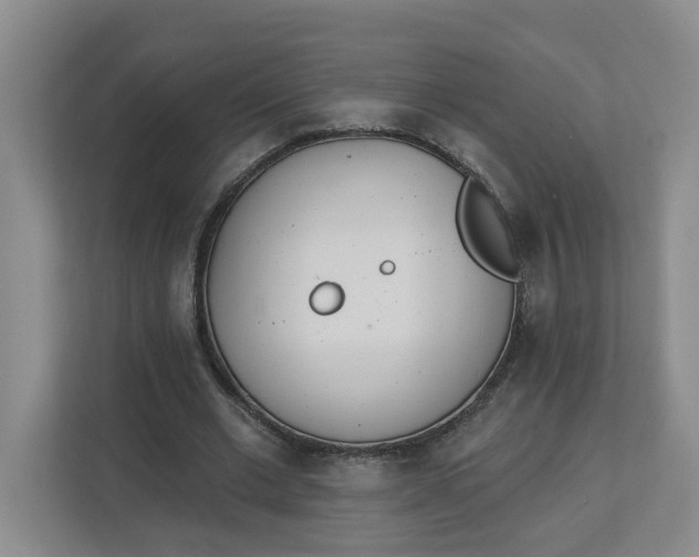 X0000112840677200909041523