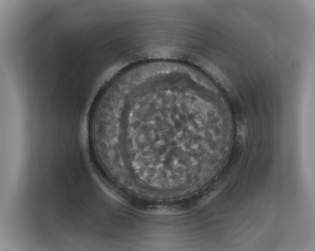 X0000112840678200909041523