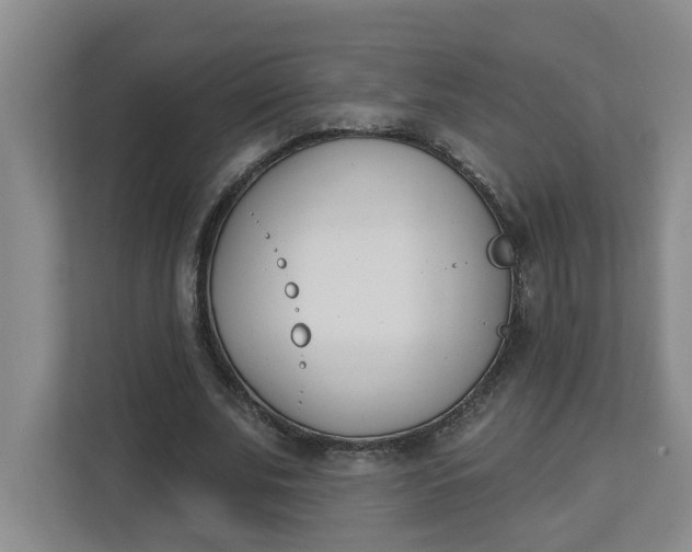 X0000112840679200909041523