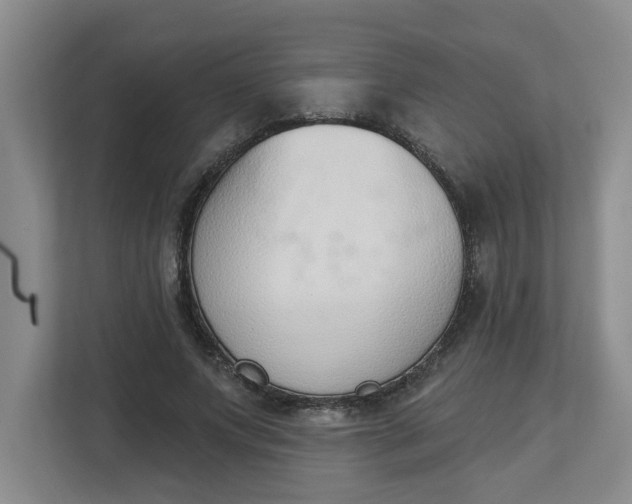 X0000112840687200909041523