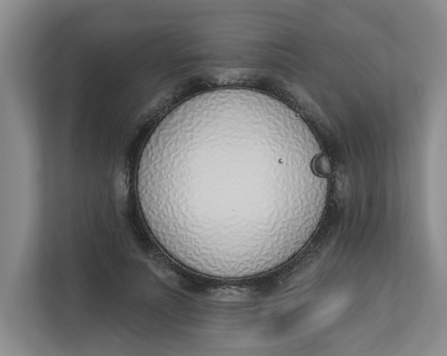 X0000112840691200909041523