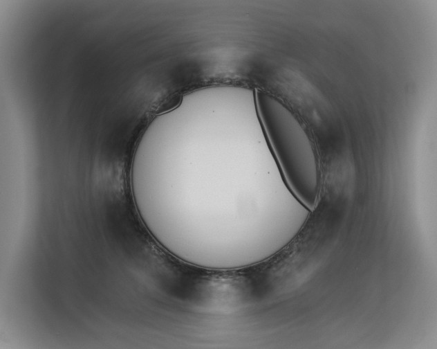 X0000112840708200909041523