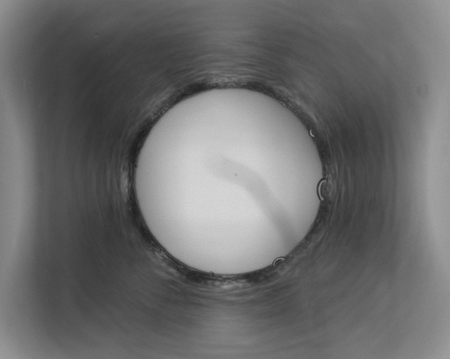 X0000112840716200909041523