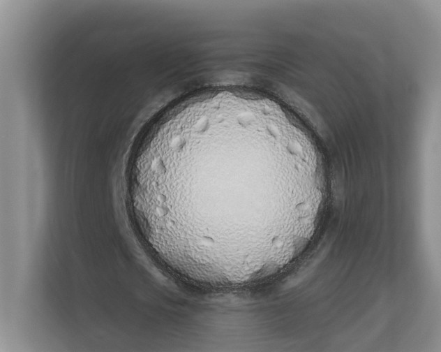 X0000112840721200909041522