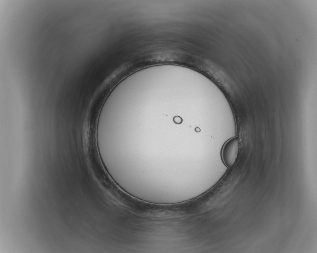 X0000112840722200909041522