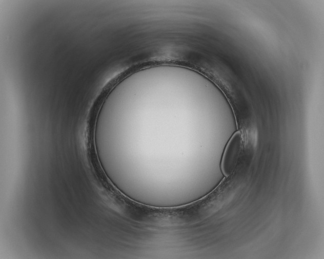 X0000112840724200909041522