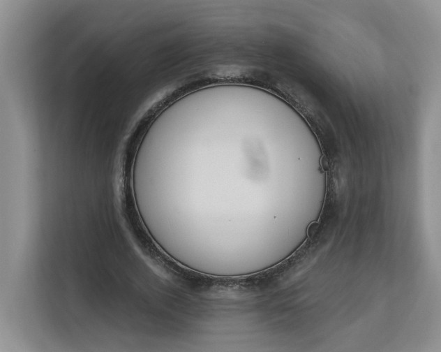 X0000112840728200909041522