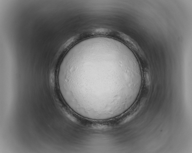 X0000112840729200909041522