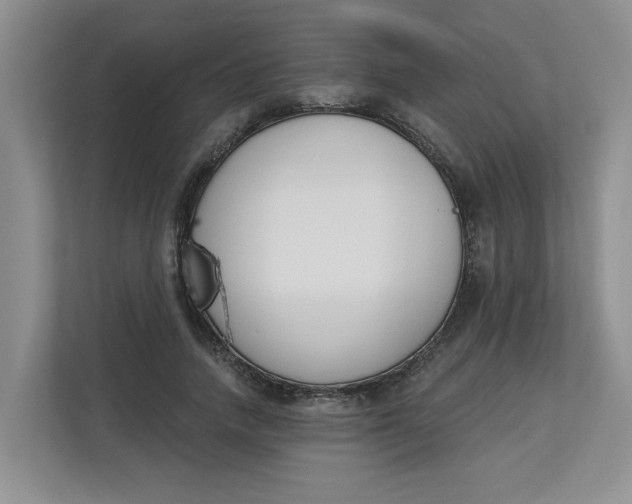 X0000112840738200909041522