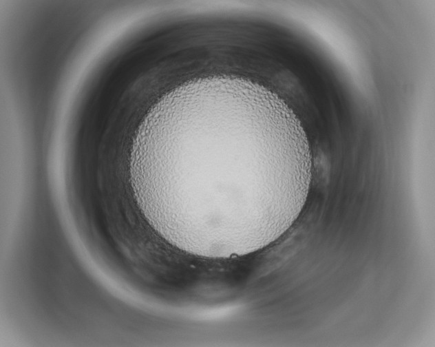 X0000112840765200909041522