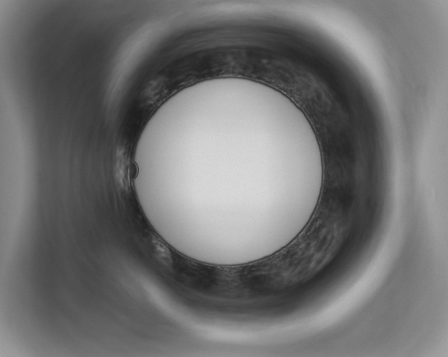 X0000112840766200909041522