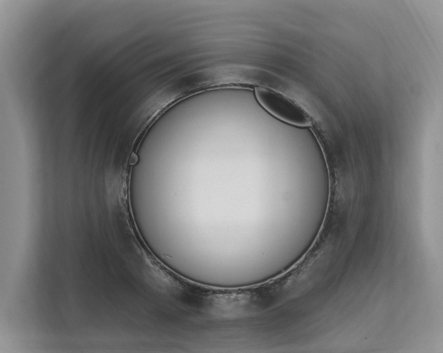 X0000112840793200909041522