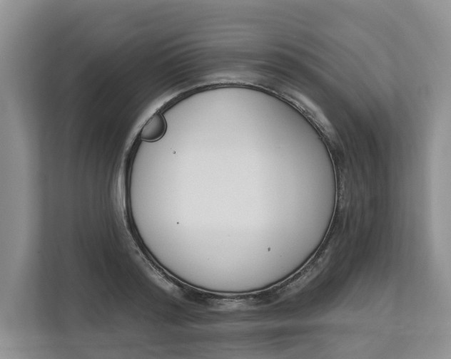 X0000112840796200909041521