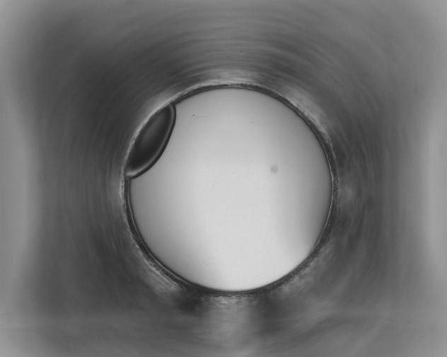 X0000112840797200909041521