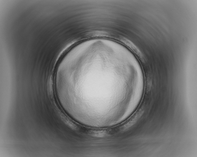 X0000112840798200909041521