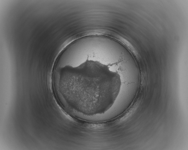 X0000112840802200909041521