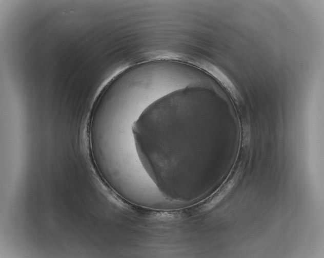 X0000112840806200909041521