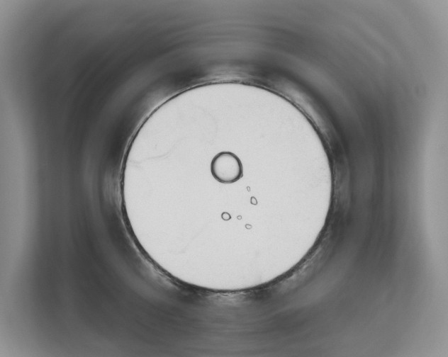 X0000112840810200909041521