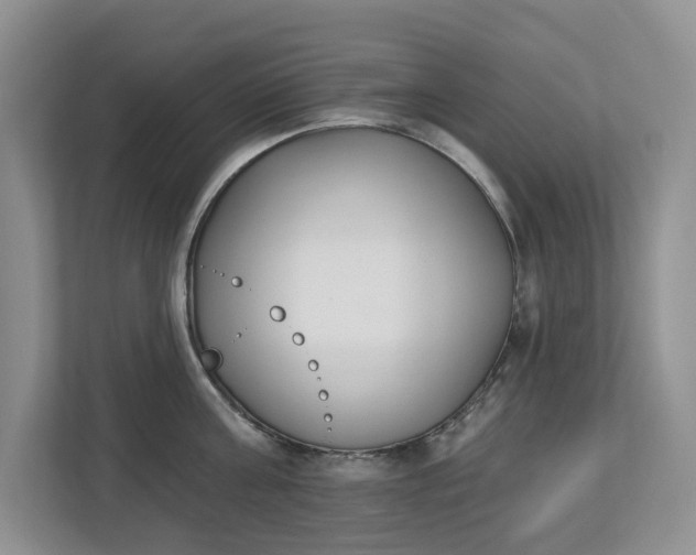 X0000112840811200909041521