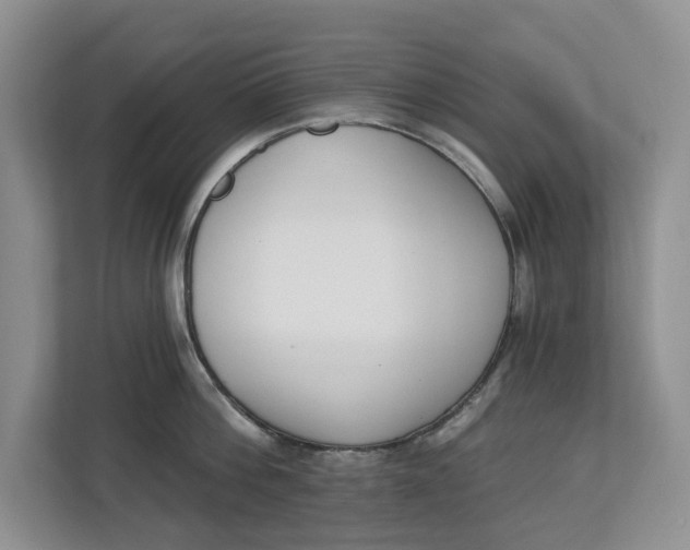 X0000112840812200909041521