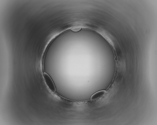 X0000112840813200909041521