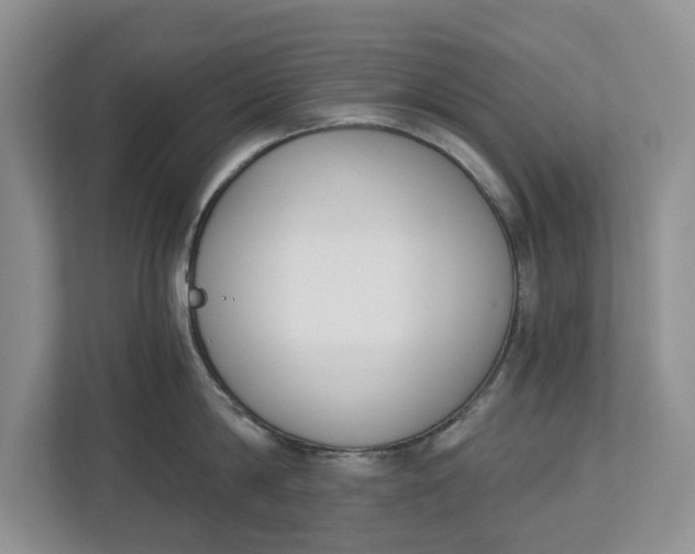 X0000112840814200909041521