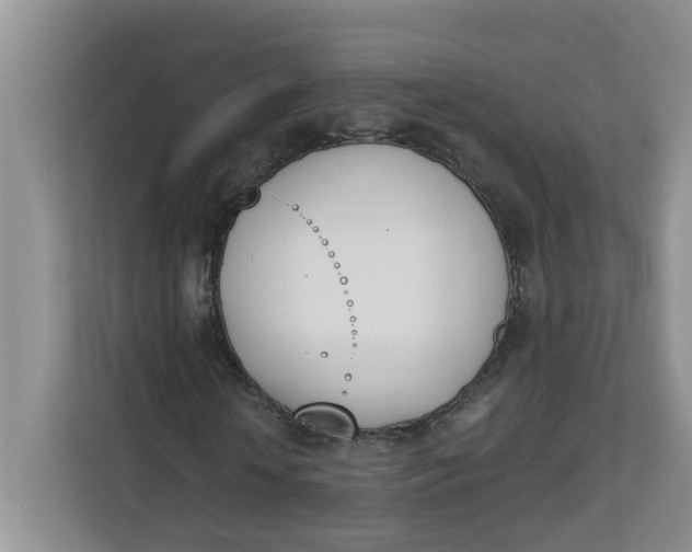 X0000112840818200909041521