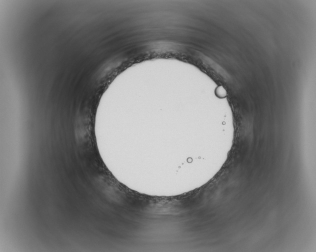 X0000112840824200909041521