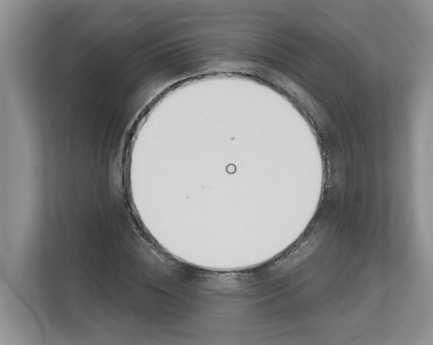 X0000112840828200909041521